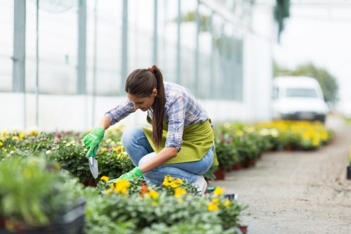 A woman wearing a plaid shirt, jeans, and green gardening gloves is kneeling on a garden path, carefully tending to a bed of colorful flowering plants, including yellow and purple blooms. The garden is situated in a well-maintained outdoor space with a neatly edged lawn, a gravel pathway, and a greenhouse structure visible in the background. The setting suggests a typical residential garden in Crouch End, with lush greenery and vibrant plantings that highlight natural tones and seasonal flowering. The lighting indicates a bright, possibly sunny day, providing ideal conditions for gardening activities. This scene exemplifies professional gardening services, such as lawn and flower bed maintenance, as offered by Lawn Mowing Crouch End, and captures the detailed care involved in outdoor landscaping work.