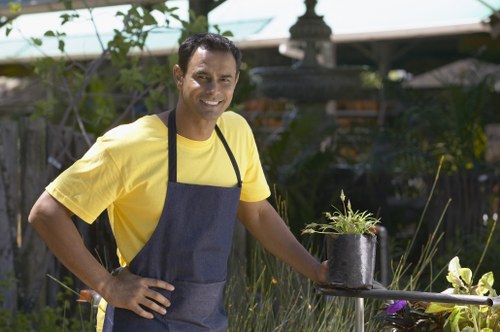 Professional lawn mowing service in Crouch End