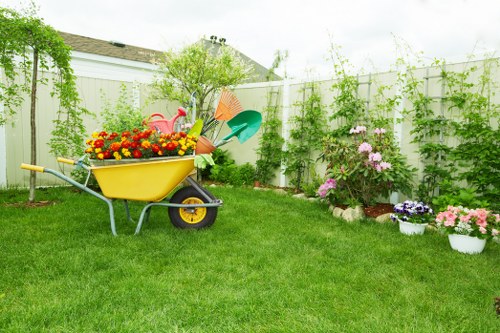 Various lawn mowing equipment