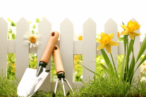Professionally trimmed hedges in a Crouch End garden