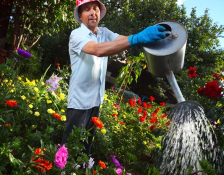 Key elements of landscaping in Crouch End