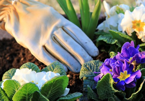Professional landscapers working in Crouch End