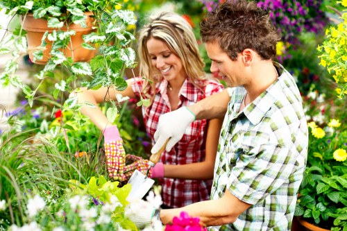 Sustainable garden practices in a Crouch End outdoor space