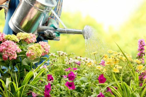 Comprehensive range of lawn care services