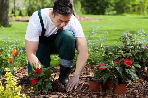 A gardener wearing a white t-shirt and dark green overalls is kneeling on a mulched flower bed in a residential garden, planting small red-flowered plants in terracotta pots. The garden features well-maintained green grass, a variety of flowering plants including orange tulips, and dense leafy shrubs. In the background, a lush, mature hedge and tall trees create a natural boundary, with sunlight filtering through the foliage, indicating a bright, mild day. The garden space appears organized, with clean planting areas and healthy, vibrant plant life, exemplifying professional outdoor maintenance typical of services offered by companies like Lawn Mowing Crouch End for lawn care and garden landscaping in the N8 postcode area.