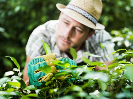 Mission to enhance outdoor spaces in Crouch End