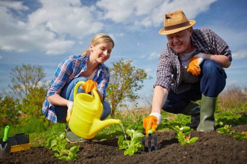 Healthy and vibrant garden maintained professionally