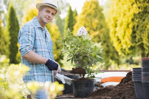 Lush green lawn maintained by experts