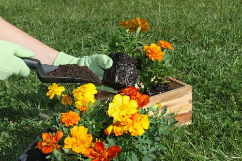 Seasonal garden maintenance activities