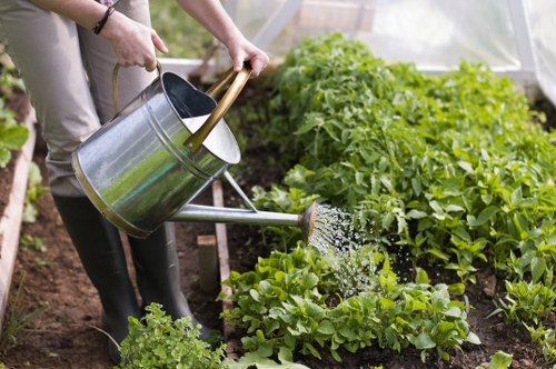 Choosing the right tree service provider in Crouch End