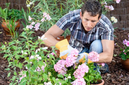 Experienced team maintaining a lush lawn