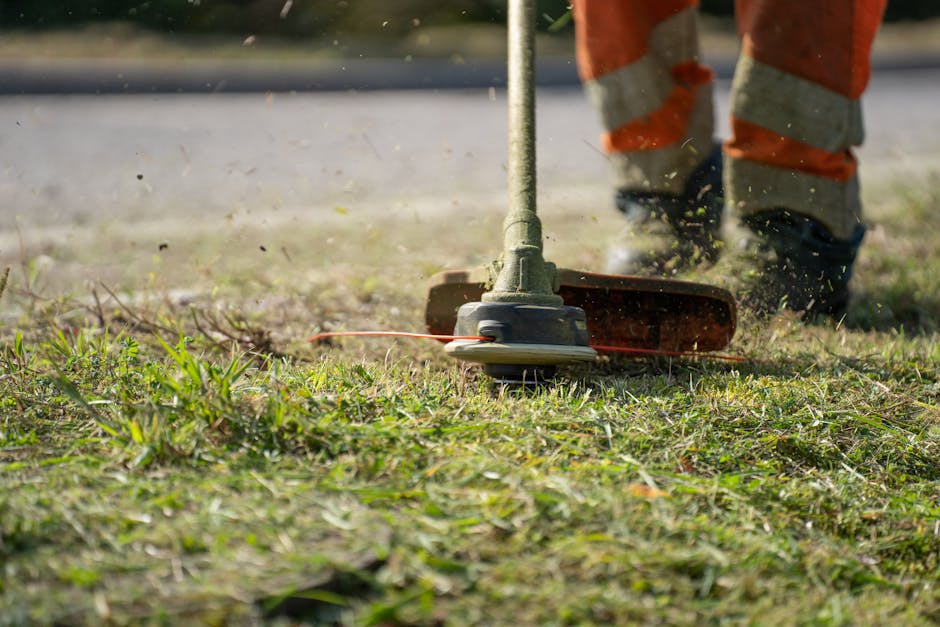 A man with light skin, short brown hair, and a beard operates a blue and black lawn mower, cutting a well-maintained grassy lawn in a private garden. He is dressed in a dark puffer jacket and brown tr
